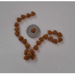 合肥環(huán)氧樹(shù)脂地坪-合肥永晨地坪-環(huán)氧樹(shù)脂地坪施工工程