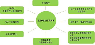 復(fù)振科技 從醫(yī)藥跨界環(huán)保的“野蠻人”，如何在環(huán)境科技領(lǐng)域開疆拓土？